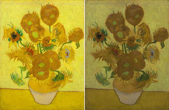 fading sunflower painting