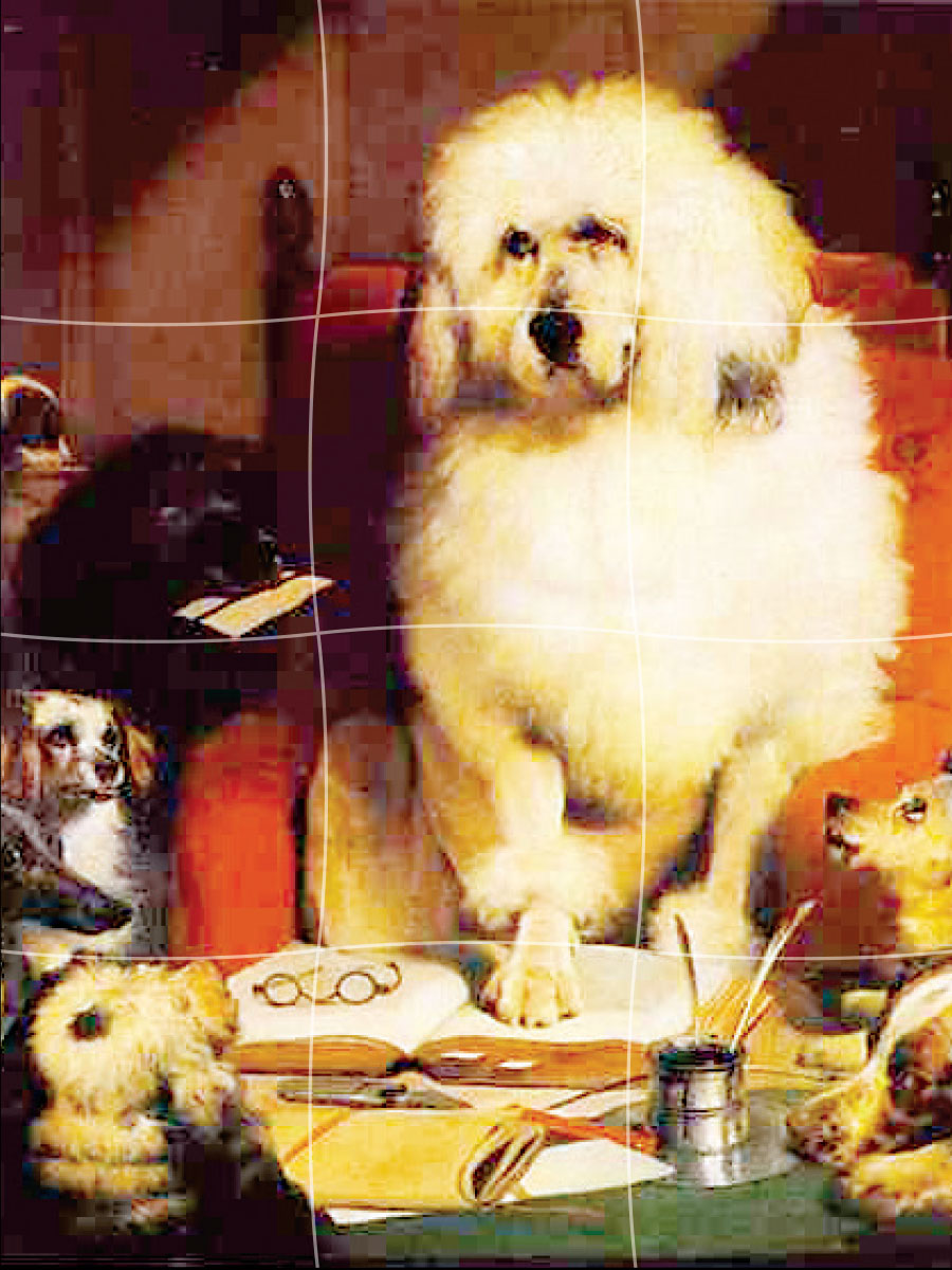 Artful Canines